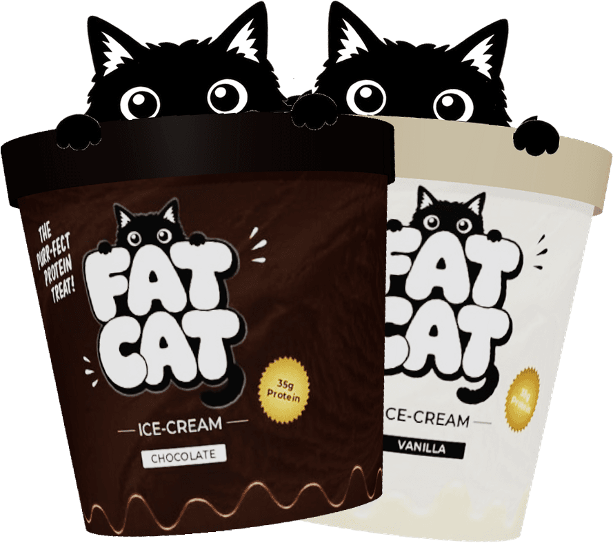 Fat Cat chocolate and vanilla tubs