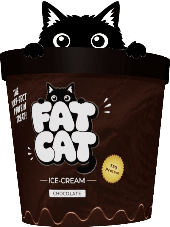 Fat Cat Chocolate protein ice cream pint